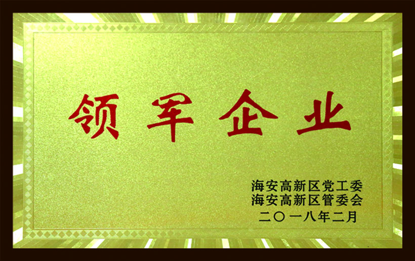 領軍企業(yè)
